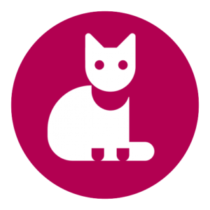 katzenbetreuung